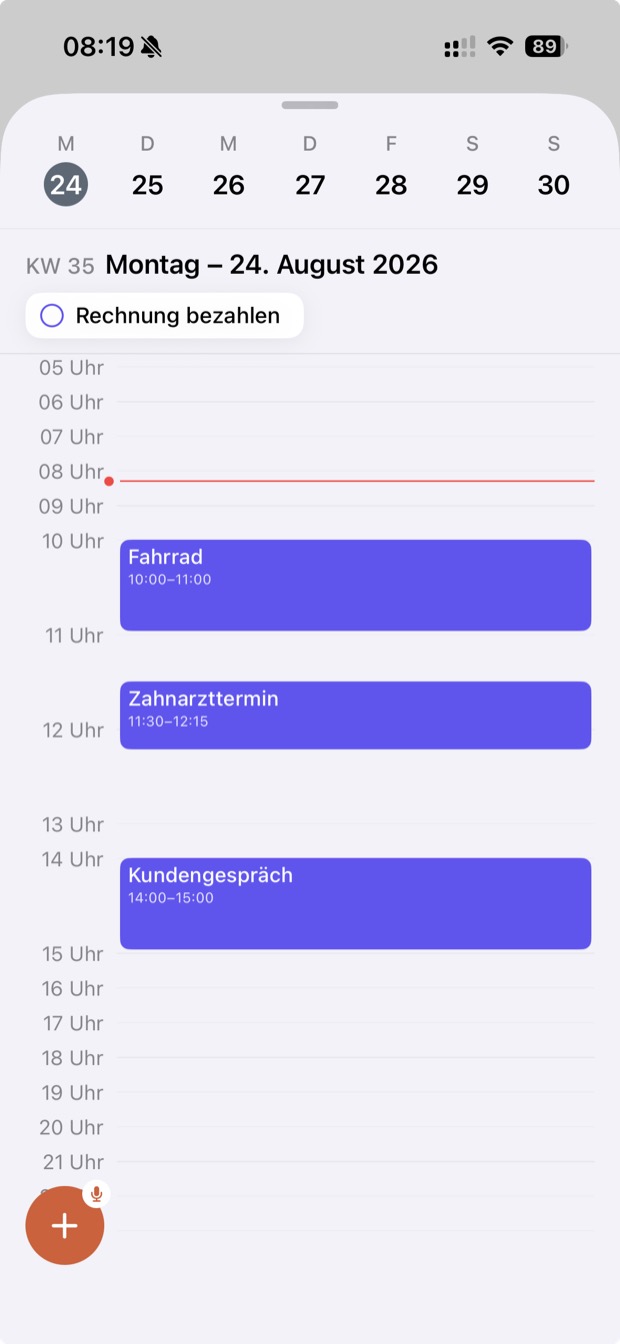 Tagesansicht im Stundenraster